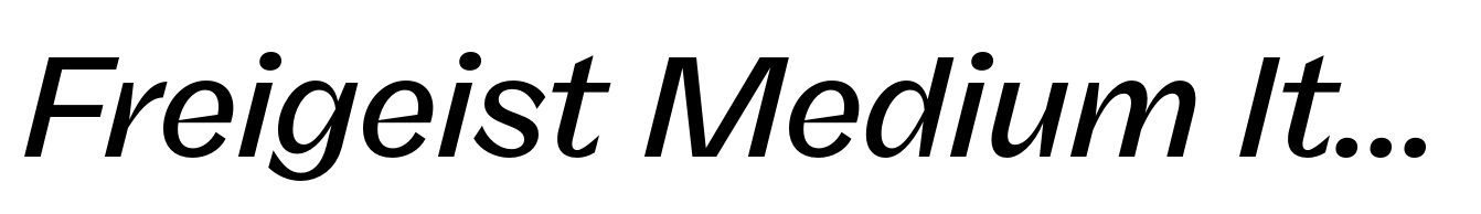 Freigeist Medium Italic